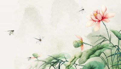 ​四面荷花三面柳,一城山色半城湖全诗
