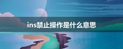 ​ins禁止操作是什么意思