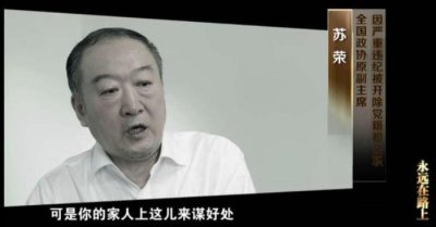 ​掮客是什么意思（苏荣掮客可随时叫来一桌厅官）