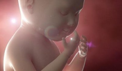 ​怀孕初期多久做b超能看见孕囊，怀孕初期多久做b超能看见胎心胎芽