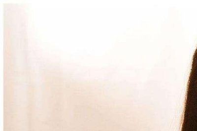 ​动物管理局第二季为什么没拍