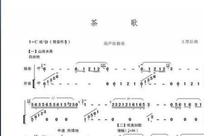 ​葫芦丝最红的十首歌曲