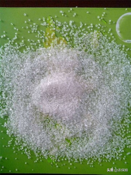 硫铵化肥的功效和用途(硫铵化肥的注意事项)