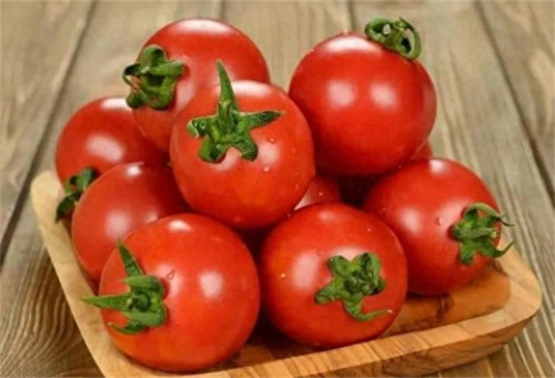 西红柿是番茄吗(西红柿和番茄有什么区别)