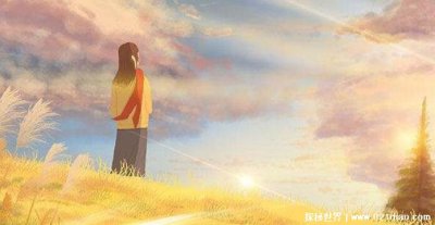 ​搞笑励志的热门文案 抖音正能量的情感句子