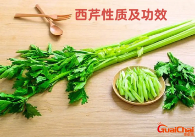 ​西芹的功效与作用及营养价值 西芹的功效与作用禁忌