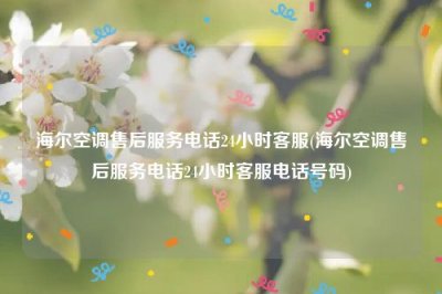 ​海尔空调售后服务电话24小时客服(海尔空调售后服务电话24小时客服电话号码)