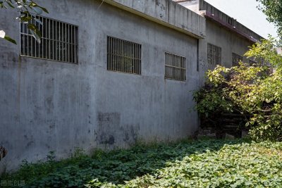 ​农村如何补办房产证？这些流程不可忽视