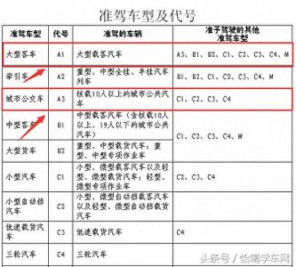 ​A3驾照和A1驾照有什么区别
