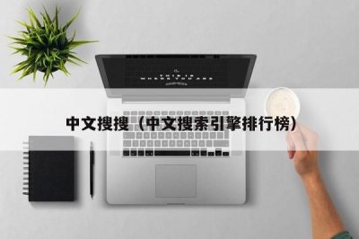 ​中文搜搜（中文搜索引擎排行榜）