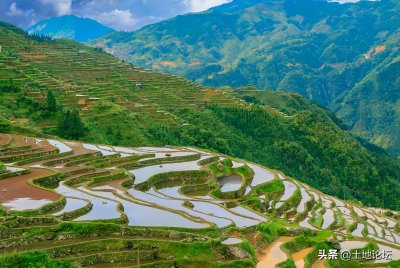 ​农业农村部谈耕地红线：耕地红线是多少亿亩？和基本农田有啥区别
