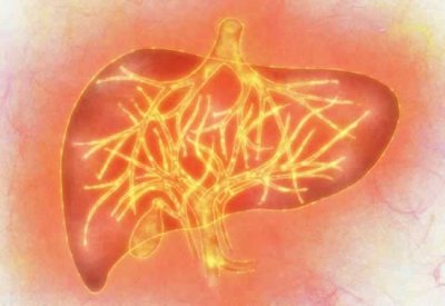 ​肝火旺长痘怎么调理（清淡饮食  远离药和酒类）