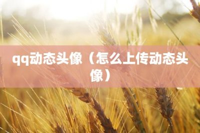 ​sci是什么意思(sci是什么意思?)
