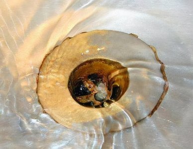 ​水管堵了怎么办疏通有妙招（自来水管堵塞如何快速疏通）