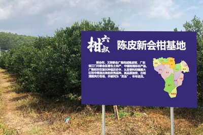 ​陈皮的产地哪里最好（陈皮的产地）