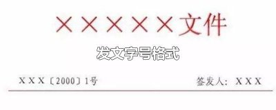 ​政府发文字号格式 学校发文字号格式