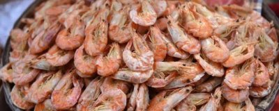 ​生晒虾干怎么晒 虾干晒到什么程度好吃