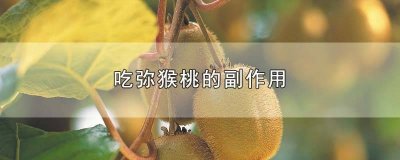 ​吃弥猕猴桃的副作用 弥猴桃的作用与功效和副作用