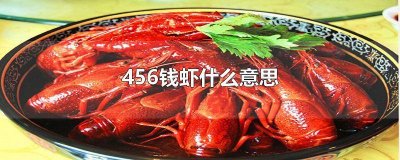 ​5钱虾是什么意思 红虾456什么意思