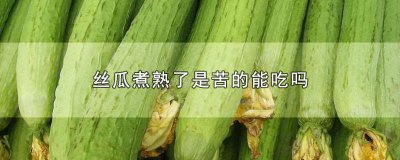 ​丝瓜煮完很苦 为什么丝瓜煮出来苦