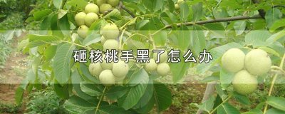 ​砸核桃手黑了怎么办 砸核桃手黑了怎么办图片