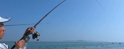 ​钓大鱼手法 教你如何钓大鱼