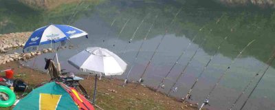 ​深秋初冬怎么钓草鱼 夏秋怎么钓草鱼