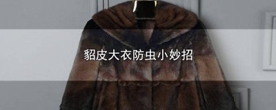 ​貂皮大衣防虫小妙招图解 貂毛大衣如何防虫