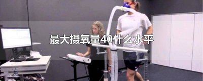 ​最大摄氧量49什么水平 最大摄氧量61什么水平