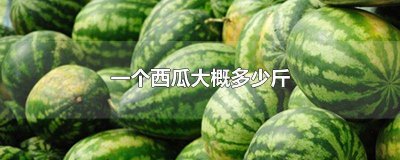 ​一个西瓜大约多少克重量 一个西瓜多重多少千克
