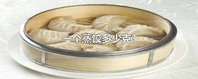 ​一个饺子要多少克肉馅 一个肉水饺多少克