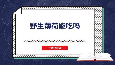 ​野外的薄荷可以吃吗 野生的薄荷