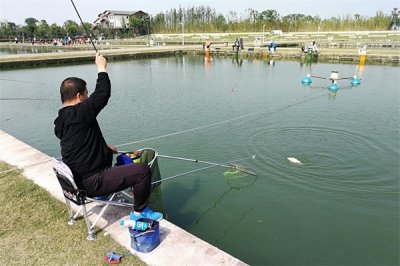 ​钓鱼小药真的有效果吗（市面上钓鱼小药真的那么神奇吗）