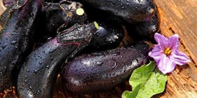 ​茄子的营养价值及食用功效