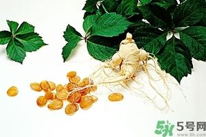 西洋参的功效与作用 西洋参有什么功效和作用 西洋参的功效与作用 西洋参有什么功效和作用