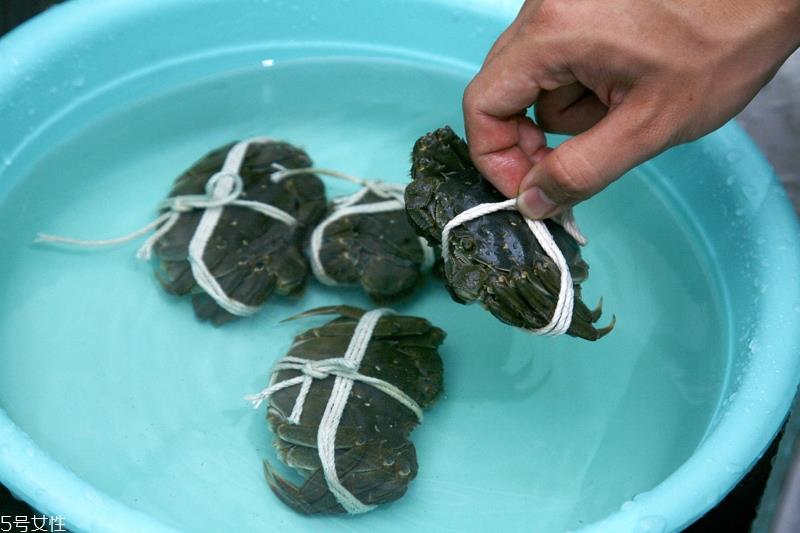 螃蟹怎么选肥的 这样的螃蟹最好吃