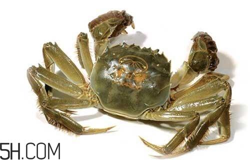 冬天可以吃大闸蟹吗？冬天怎么吃大闸蟹？