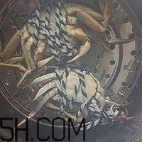 冬天可以吃大闸蟹吗？冬天怎么吃大闸蟹？