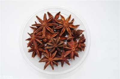 ​茴香有几种 茴香品种介绍