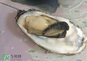 生蚝多少钱一斤?生蚝一斤有几个? 生蚝多少钱一斤?生蚝一斤有几个?