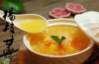 杨枝甘露是比喻什么?杨枝甘露是什么 杨枝甘露是比喻什么?杨枝甘露是什么