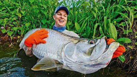 迈阿密生存着能“鱼钓人”的大海鲢，为何巨大的海鲢都栖息在此？