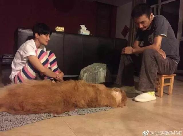 朴树唱《送别》现场失控大哭!谁不是一边不想活了,一边努力活着…