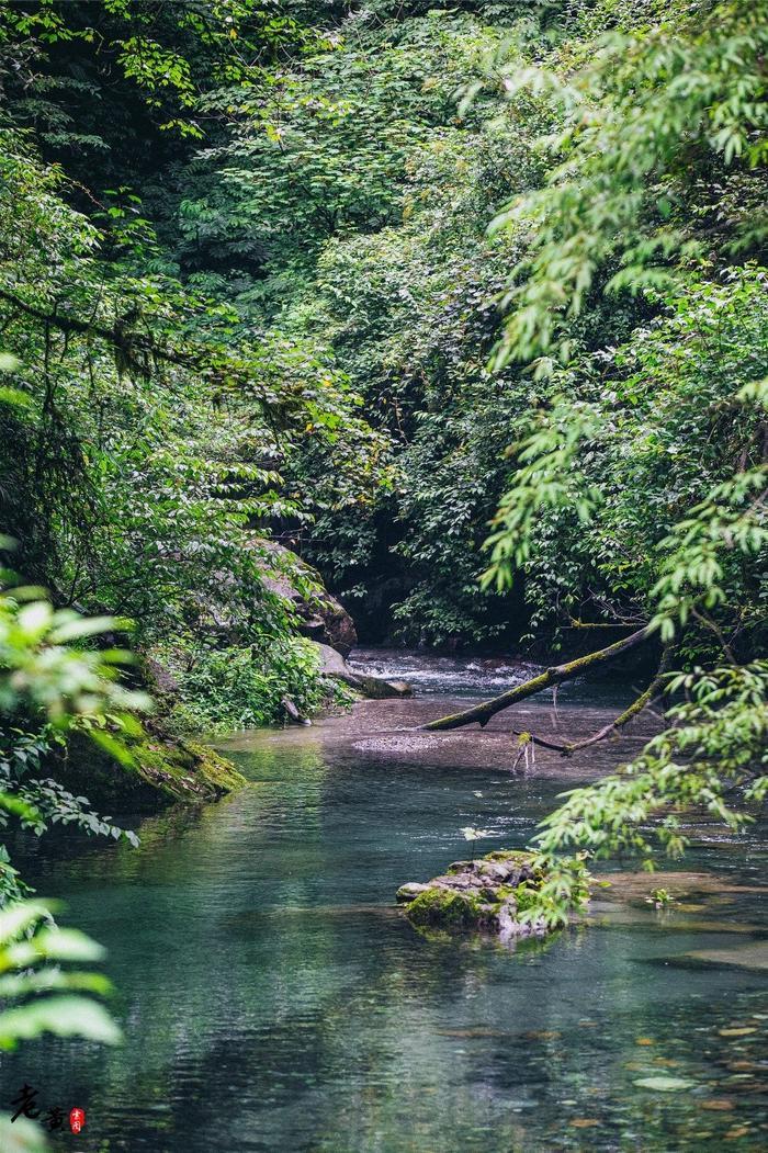 西岭雪山夏季游玩全攻略，前山后山让你一次嗨翻天