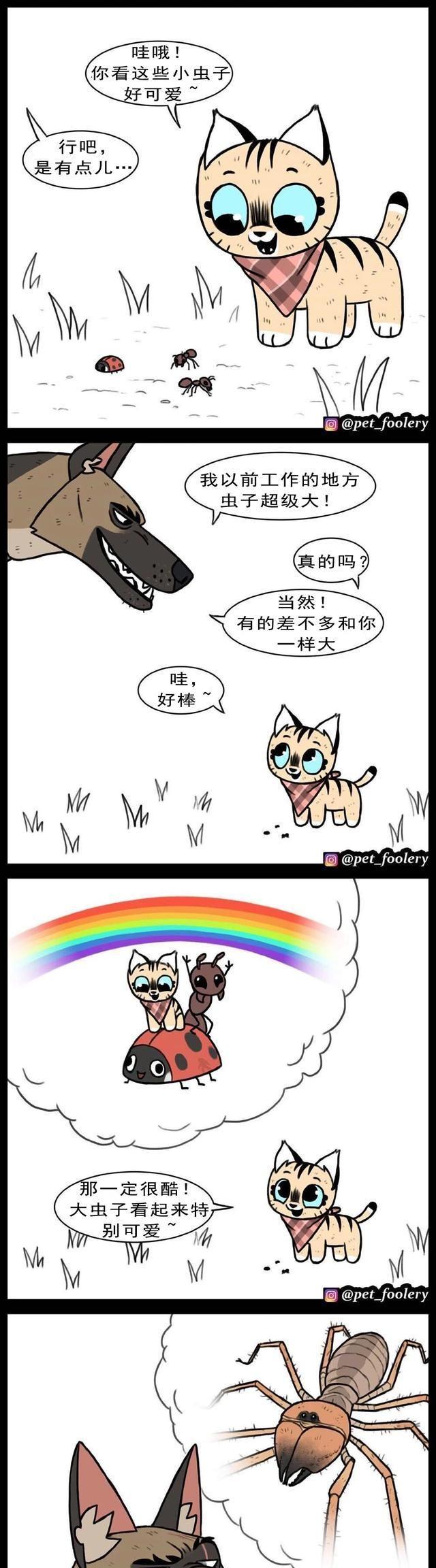 高冷军犬退役后，在新家遇上了一只小猫……