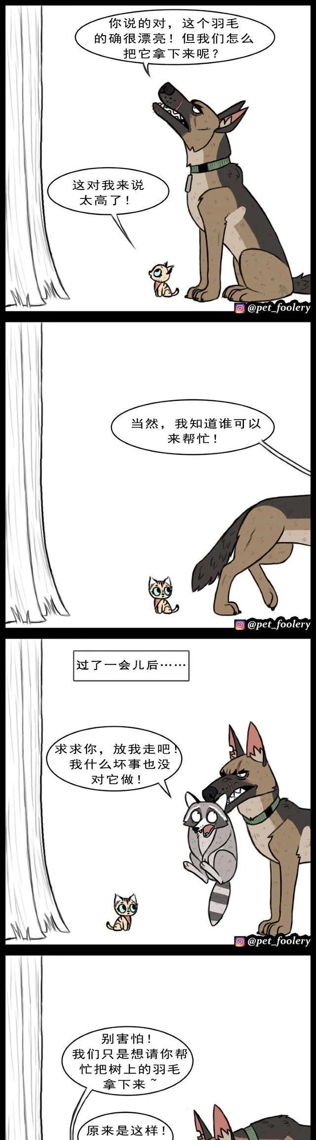 高冷军犬退役后，在新家遇上了一只小猫……