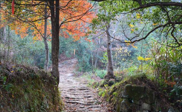 南黄古道——一个隐于浙东山区的清新小众好去处