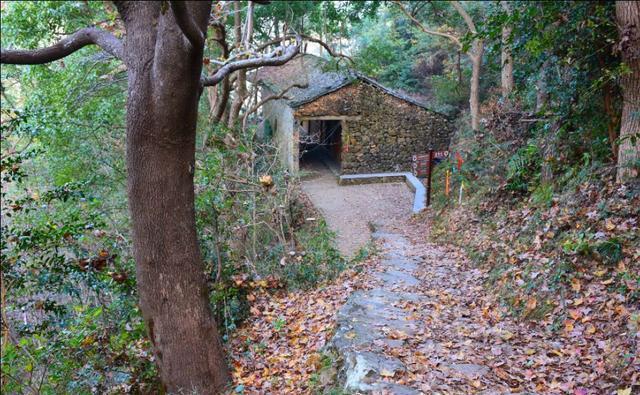 南黄古道——一个隐于浙东山区的清新小众好去处