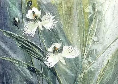 九首《行香子》:红了樱桃,绿了芭蕉