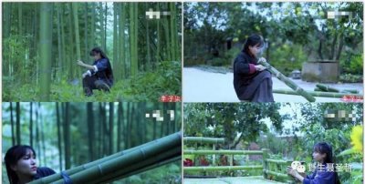 ​聂圣哲：李子柒颠覆了谁？